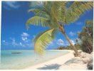 (156) French Polynesia Islands - Polynesie Francaise - Tahitian Beach - Polinesia Francesa