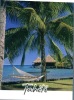 (156) French Polynesia Islands - Polynesie Francaise - Tahitian Palm Tree - Polynésie Française