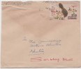 Bhutan Cover, Remote Post Office Postmark, Commercial Cover, Condition As Per The Scan - Bhutan