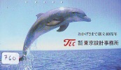 Télécarte Japon * DAUPHIN * DOLPHIN (760) Japan Phonecard * DELPHIN * GOLFINO * DOLFIJN * - Delfines