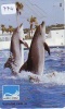 Télécarte Japon * DAUPHIN * DOLPHIN (774) Japan Phonecard * DELPHIN * GOLFINO * DOLFIJN * - Delfines