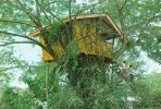 BR5234 A Tree House Zamboanga City Philippines    2 Scans - Filippijnen