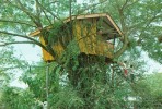 BR5234 A Tree House Zamboanga City Philippines    2 Scans - Philippines