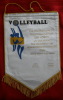 Volleyball, Pallavolo -  Tournament, GERMANY, 1986. Pennant, Larger Format - Sonstige & Ohne Zuordnung