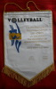 Volleyball, Pallavolo -  Tournament, GERMANY, 1986. Pennant, Larger Format - Autres & Non Classés