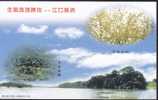 China - Wuzhou Island On Xiangjiang River, Hengyang City Of Hunan Province, Prepaid Card - Eilanden