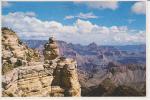 (EUA428) GRAND CANYON NATIONAL PARK. DUCK ON THE ROCK - Grand Canyon