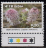 India MNH 1996, Traffic Light / Himalayan Ecology, Phen Kamal, Flower - Unused Stamps