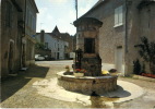 46 Salviac, Fontaine Du XIIIeme Siècle, CPM Trés Bel état - Salviac