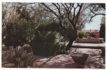 USA -PATIO GARDEN- TUMACACORI NATIONAL MONUMENT AZ- Old ARIZONA Postcard   [c2424] - Other & Unclassified