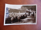 CPM édition Pauleau. Douala Cameroun. Maroua. Marché Aux Burma. - Cameroun