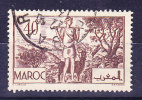 Maroc N°171 Oblitéré - Gebraucht