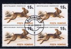 RO+ Rumänien 1993 Mi 4902 Kaninchen (1 Briefmarke 1 Stamp 1 Timbre !!!) - Usado