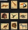 POLAND 1972 ZOO ANIMALS SET OF 9 NHM Giraffee Tucan Leppard  Monkey Corocodile Kangaroo Tiger Zebra Gibbon Chimpanzee - Scimpanzé