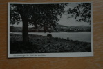 5462 BAD HÖNNINGEN, 1954, Blick über Den Rhein - Bad Hönningen