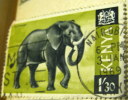 Kenya 1966 Elephant 1.30s - Used - Kenia (1963-...)