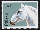 POLAND    Scott #  2894**  VF MINT NH - Unused Stamps