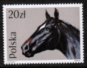 POLAND    Scott #  2896**  VF MINT NH - Unused Stamps