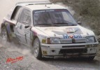 205 T16 ALLEMAGNE M.MOUTON. T HARRYMAN - Rally Racing