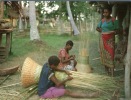 (500) Papua New Guinea - Papaousie Nouvelle Guinée - Women In Chambri Lakes - Papoea-Nieuw-Guinea