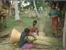 (500) Papua New Guinea - Papaousie Nouvelle Guinée - Women In Chambri Lakes - Papouasie-Nouvelle-Guinée