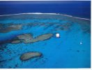 (500) New Caledonia - Sea Horse Ponton Recif Hannibal - Neukaledonien