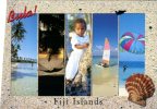 (500) Shell - Coquillage - Fiji Islands - Fidschi