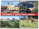 (150) Pozdrav Zoo - Giraffe - Girafes