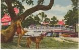 Mississippi City MS Mississippi, Friendship House Restaurant Cottages On C1950s Vintage Curteich Linen Postcard - Other & Unclassified