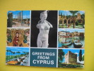 CYPRUS,BUTTERFLY STAMP - Chypre