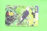 URUGUAY  -  Chip Phonecard As Scan - Other - Africa