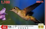 TELECARTE DU JAPON  ....MAGNIFIQUE PASSEREAU..RARE!!!!. VOIR SCANER - Uccelli Canterini Ed Arboricoli