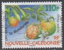 NOUVELLE-CALEDONIE  N°1043__OBL VOIR SCAN - Used Stamps