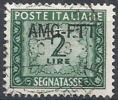 1949-54 TRIESTE A USATO SEGNATASSE 2 LIRE - RR10796 - Impuestos
