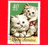 Nuovo Obliterato - ROMANIA - 1965 - Gatti Domestici - Persian Cats (Felis Silvestris Catus) - 40 - Unused Stamps