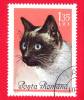 ROMANIA - ROMANA - Nuovo Obliterato - 1965 - Gatti - Chats - Siamese Cat - 1.35 Lei - Neufs