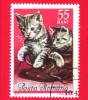 ROMANIA - ROMANA - Nuovo Obliterato - 1965 - Gatti - Chats - European Cat - 55 Bani - Unused Stamps