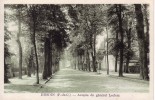 62  HESDIN   PAS DE CALAIS  - AVENUE  DU  GENERAL  LECLERC  -  CPSM  Verte  9x14 TBE - Hesdin