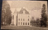 Cpa CHAMPIGNY SUR YONNE 89 Le Château Vue Prise Du Parc - Champigny