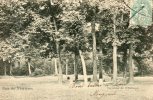 VERRIERES LE BUISSON Bois De Verrières Carrefour De L'obélisque - Verrieres Le Buisson