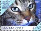 2009 SAN MARINO  FOTO ANIMALI  6 Valori ** MNH - Unused Stamps