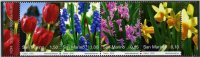 2009  SAN MARINO   FIORI  ** MNH - Nuovi