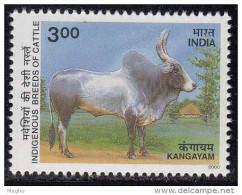 India MNH 2000,  Breeds Of Cattle, Kangayam Cow, Farm Animal - Unused Stamps