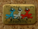 PIN´S PLONGEE - HOCKEY SUBAQUATIQUES  GRENOUILLE - Diving