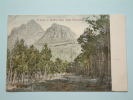 A Lane To Devil's Peak, Table Mountain / Anno 1906 ( Zie Foto Voor Details ) !! - Afrique Du Sud