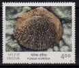 India MNH 2001, 4.00r Corals Of India, Mushroom Coral, Marine Life, - Neufs