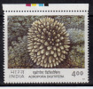 India MNH 2001, 4.00r Corals Of India, Digitate Coral, Marine Life, - Nuovi