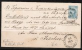 RUSSIA    1888 POSTAL STATIONARY CARD  Estonia Baltic Post (13/8/88) To GERMANY - Cartas & Documentos