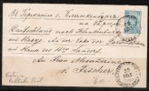 RUSSIA    1888 POSTAL STATIONARY CARD  Estonia Baltic Post (13/8/88) To GERMANY - Lettres & Documents