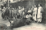 COCHINCHINE TONKIN ROTISSAGE D´UN BOEUF POUR UNE FETE PUBLIQUE EDIT DIEULEFILS N° 3079 - Vietnam